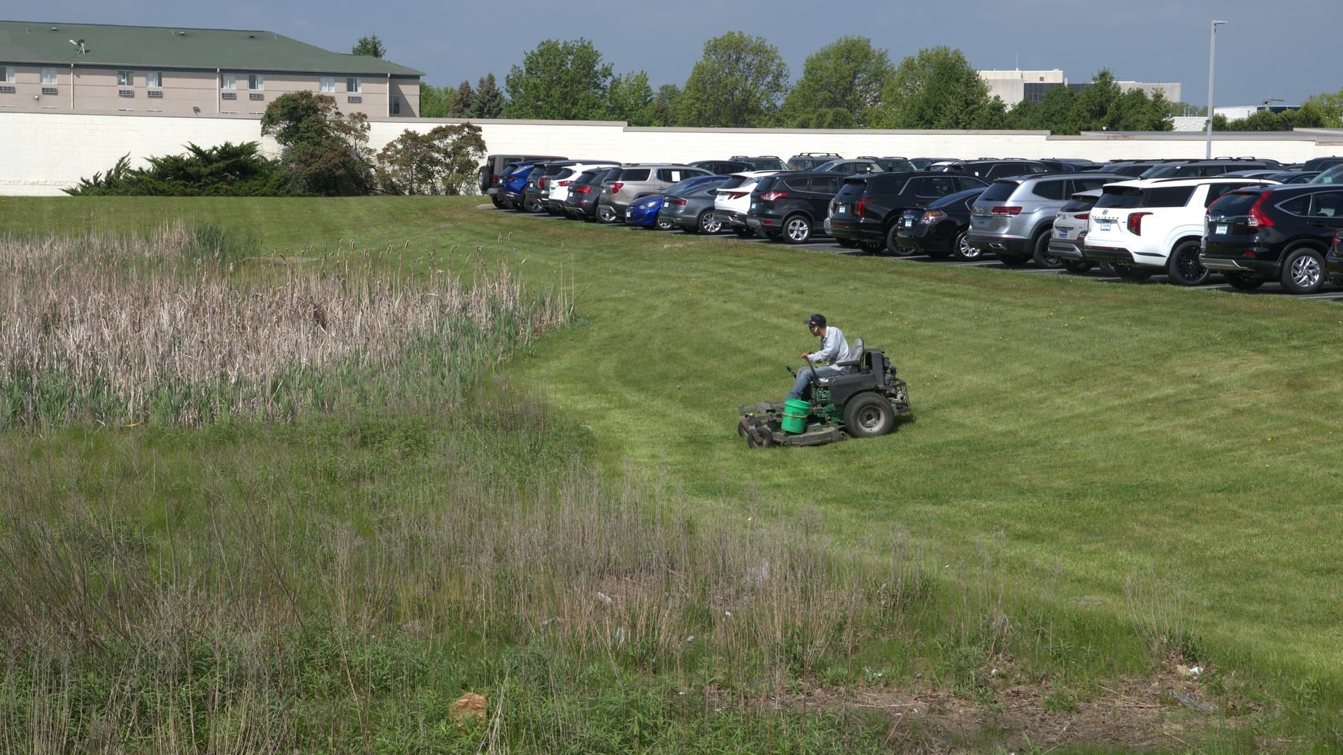 Why Is My Lawn Yellow? Diagnosing and Fixing Common Problems in Chicago Suburbs