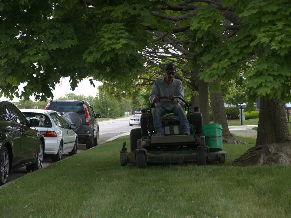 Glosario de Cuidado de Jardín para Propietarios de DuPage